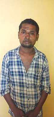 கைது செய்யப்பட்ட சுதந்திர திருநாதன்