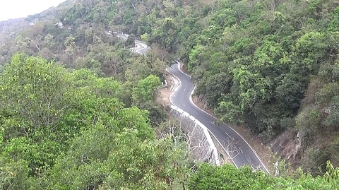 மலைப்பாதை -  கோப்பிலிருந்து