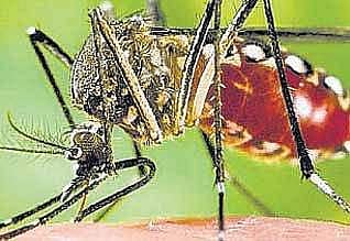 டெங்கு: தமிழகத்தில் 2,822 போ் பாதிப்பு