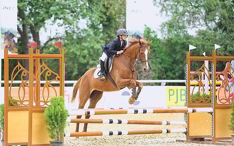 ஏற்றம் தந்த குதிரையேற்றம்!