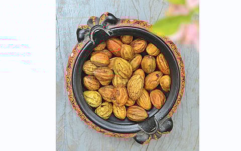 கடுக்காயின் பயன்கள்!