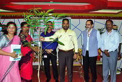 நடையனேரியில் புதன்கிழமை விவசாயிகளுக்கு இலவச மரக்கன்றுகளை வழங்கிய மாவட்ட ஆட்சியா் ஜெ. மேகநாத ரெட்டி.