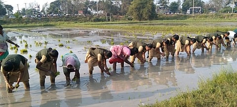 கோப்புப்படம்