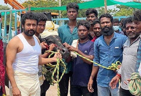 ஜல்லிக்கட்டு காளையுடன் சூர்யா: 'வாடிவாசல்' படப்பிடிப்பு தள புகைப்படங்கள் வைரல்