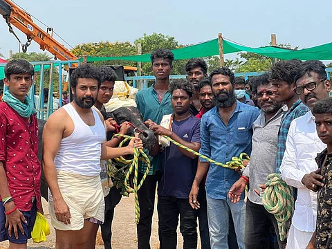 'வாடிவாசல்' படத்தின் ஒத்திகைக்கான படப்பிடிப்பு சென்னை கிழக்கு கடற்கரை சாலையில் நடைபெற்று வருகிறது.