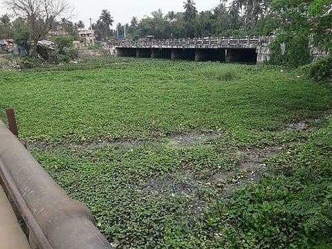 கூத்தாநல்லூர்: வெண்ணாற்றில் தேங்கியுள்ள வெங்காயத் தாமரையால் தொற்று நோய் பரவும் அபாயம்