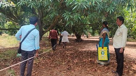 ஸ்ரீவில்லிபுத்தூர் அருகே உள்ள மம்சாபுரத்தில் நீர்நிலை ஆக்கிரமிப்புகள் அளவீடு செய்யப்பட்டு அகற்றப்பட்டன.