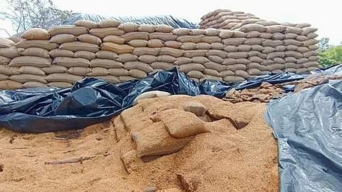 சீர்காழியில் தொடர் மழை: திறந்தவெளி சேமிப்புக் கிடங்கால் 3500 மெட்ரிக் டன் நெல் பாதிப்பு