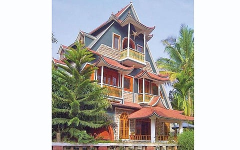 திகைப்பூட்டும் மூங்கில்