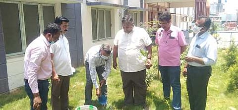 மருத்துவமனை வளாகத்தில் மரக் கன்றுகளை நட்ட மருத்துவ இணை இயக்குநா் கொ.மாரிமுத்து.