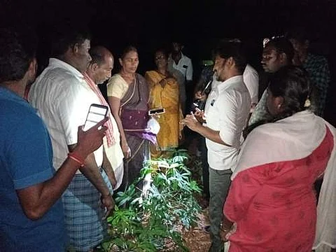 மெழுகு வண்டுகளை காட்டுப்படுத்திட​  விவசாயிகளுக்கு நேரிடை செய்முறை பயிற்சி அளிக்கும் வேளாண் ஆராய்ச்சி குழுவினர்.