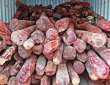 கோப்புப்படம்