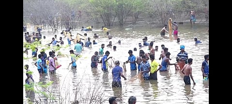 மீன்பிடி திருவிழாவில் குளத்திற்குள் இறங்கி ஆா்வமுடன் மீன்களைப் பிடித்த பொதுமக்கள்.