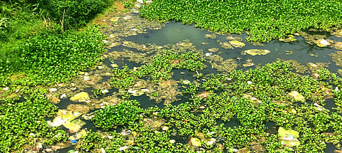 நதியில் கொட்டப்பட்டுள்ள கழிவுகள்(கோப்புப்படம்) 