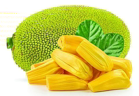 அசாமிலிருந்து துபைக்கு பறக்கும் பலாப்பழம், பச்சைமிளகாய்