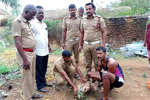 விவசாயக் கிணற்றிலிருந்து மீட்கப்பட்ட புள்ளிமான்.