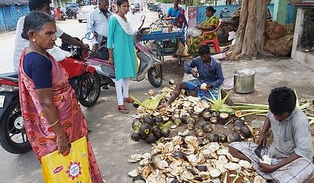 பனை நுங்கு விற்பனை விறுவிறுப்பு