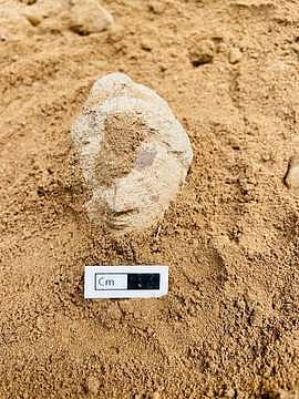 திருப்புவனம் அருகே கீழடியில் 8 ஆம் கட்ட அகழாய்வில் கண்டெடுக்கப்பட்ட மனித முகம் போன்ற அமைப்பில் உள்ள சுடுமண் சிற்பம்.