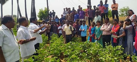 வீரிய ஒட்டு ரக பருத்தி விதைஉற்பத்தி பயிற்சி