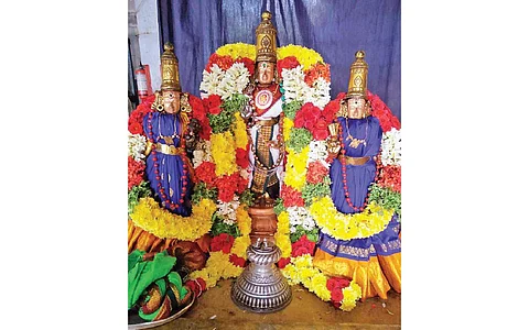 கடல் மல்லை கரும்பு!