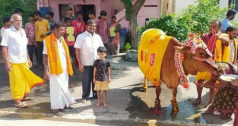 கோயில் காளைக்கு  வரவேற்பளித்து வழிபாடு நடத்திய பொதுமக்கள்.