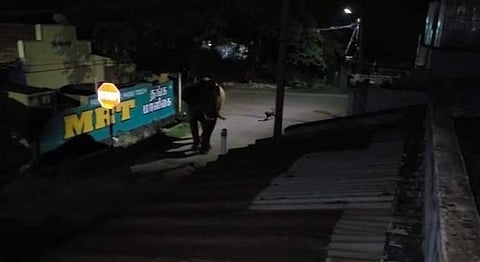 மிரண்டு ஓடும் யானை.