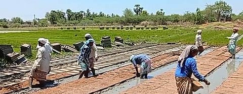 தஞ்சை: விதை நெல் விலை உயர்வு; விவசாயிகள் வேதனை