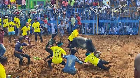 அன்னவாசல் அருகே ஜல்லிக்கட்டு: 17 போ் காயம்