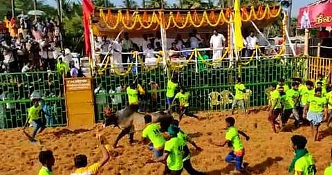 சேலம்: நிலவாரப்பட்டி அருகே ஜல்லிக்கட்டு விழா: 500க்கும் மேற்பட்ட காளைகள் பங்கேற்பு