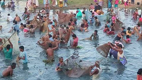 கேசராபட்டி கண்மாயில் மீன்பிடித் திருவிழா