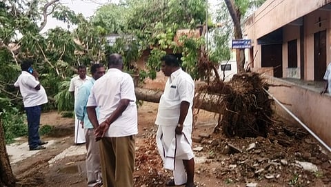 நாட்டறம்பள்ளி ஊராட்சி ஒன்றிய தொடக்கப் பள்ளியில் சூறாவளிக் காற்றால் வேருடன் சாய்ந்த மரம்.