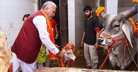 படம்: டிவிட்டர் | பர்ஷோத்தம் ரூபாலா