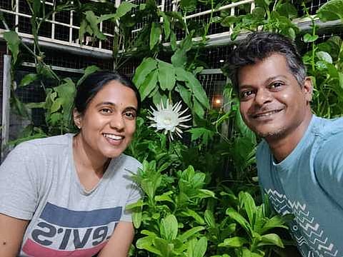 பெங்களூரில் ஆண்டுக்கு ஒருமுறை பூக்கும் பிரம்ம கமலம் பூத்தது