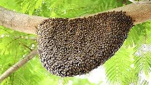 கோப்புப்படம்