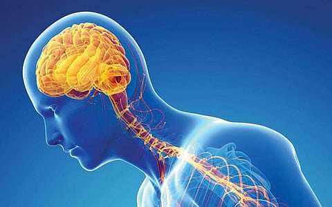 ஆயுள் காக்கும் ஆயுர்வேதம்: பார்கின்சன் மீள்வது எப்படி?