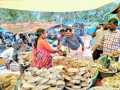 நெகிழிப்பைகள் தயாரித்த நிறுவனத்துக்கு ‘சீல்’ வைப்பு