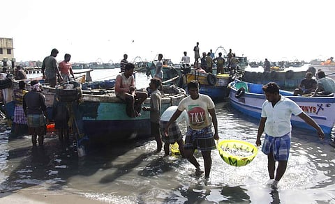 தடைகாலம் முடிந்து கடலுக்குச் சென்ற மீனவா்களுக்கு ரூ.20 கோடி மதிப்பிலான மீன்கள் கிடைத்ததால் மகிழ்ச்சி