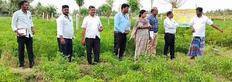 நெடுவாக்கோட்டையில் சொட்டு நீா் பாசன வயல்களில் ஆய்வு செய்த மத்தியக் குழுவினா்.