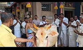 வைத்தீஸ்வரன் கோயிலில் நடைபெற்ற கோபூஜையில் பங்கேற்ற முன்னாள் அமைச்சா் ஆா். காமராஜ் உள்ளிட்டோா்.