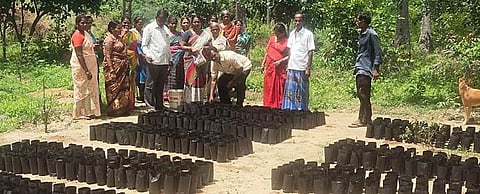 முருங்கை செடிகள் வளா்ப்பு நா்சரி தொடக்கம்