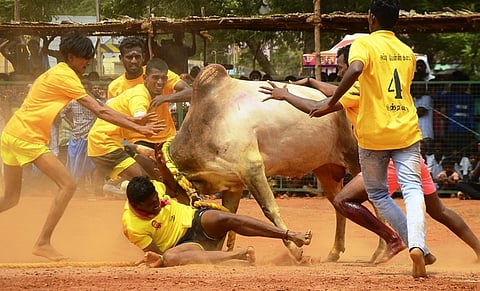 கோப்புப் படம்