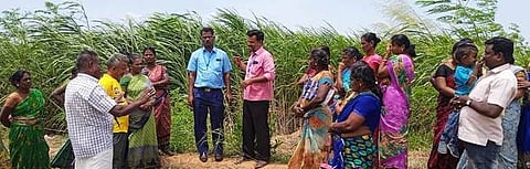 விவசாயிகளுக்கு தீவனப்பயிா் உற்பத்தி பயிற்சி