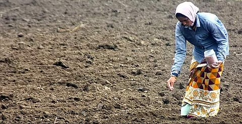 பாலின சமத்துவமின்மை: இந்தியாவுக்கு 135-ஆவது இடம்