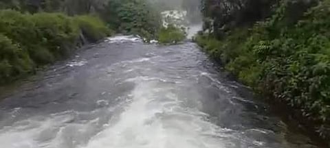 வால்பாறையில் கனமழை: வெள்ளை மலை சுரங்க நீர்வீழ்ச்சிக்கு செல்லத் தடை