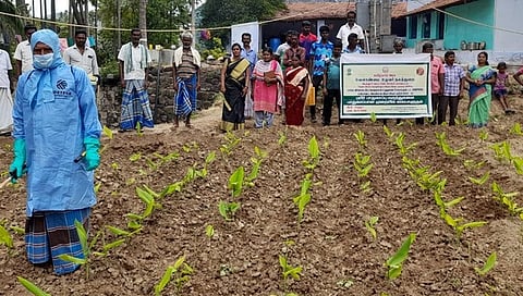 பயிா் பாதுகாப்பு மருந்துகளைக் கையாளுதல் குறித்த பயிற்சியில் பங்கேற்றோா்.