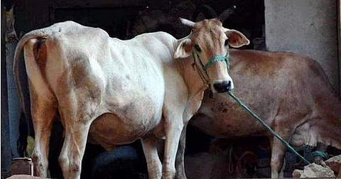 கோப்புப் படம்
