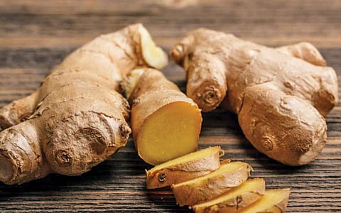 மூலிகை மருத்துவம்