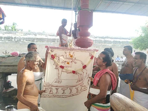வேதாரண்யேசுவரர் கோயிலில் நடைபெற்ற கொடியேற்ற விழா