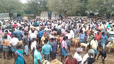 ஆடிப் பண்டிகை: கொங்கணாபுரம் கால்நடைச் சந்தையில் விற்பனை அதிகரிப்பு