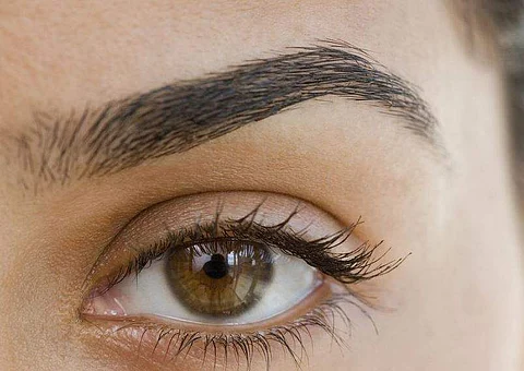 eye brows